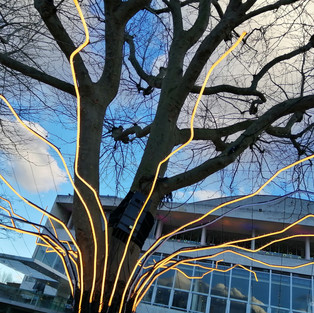 A tree illuminated in yellow neon lighting