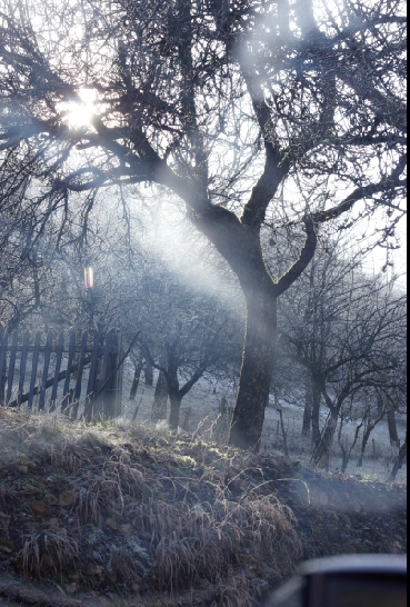 Sorties nature