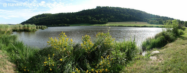 Etang des Lésines