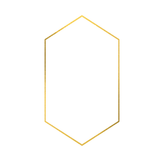 Untitled design (80).png