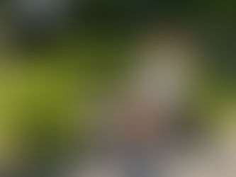 How to Beat the End-of-Summer Blues