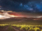 Vinyard_Sky_Background_edited.jpg