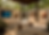ChatGPT Image Jun 23, 2026, 03_39_17 PM.png