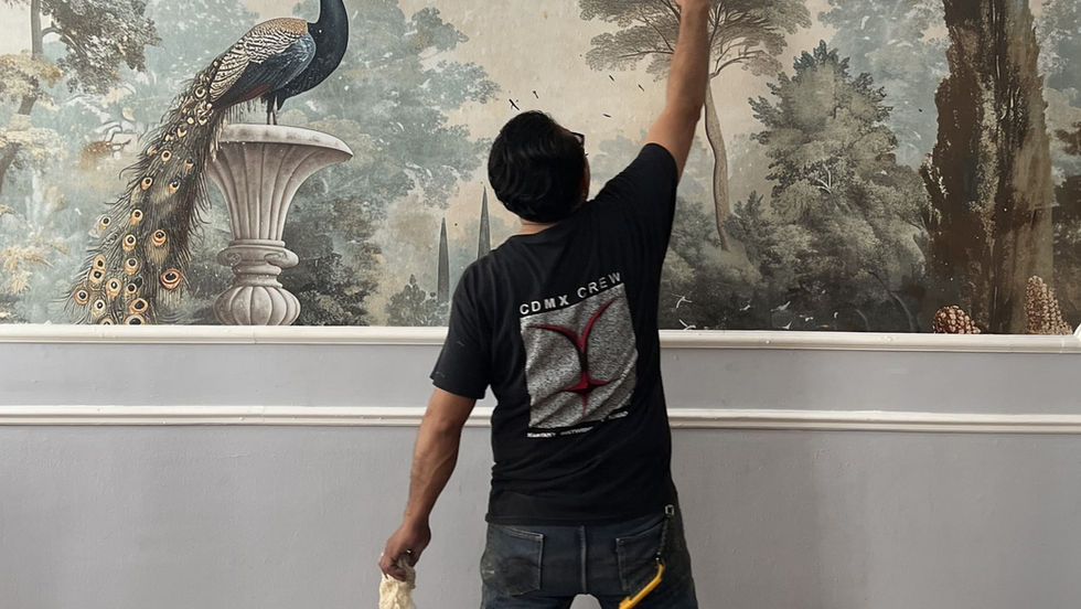 Vintage Bird Cages Seller - Bird Fresco Mural on wall