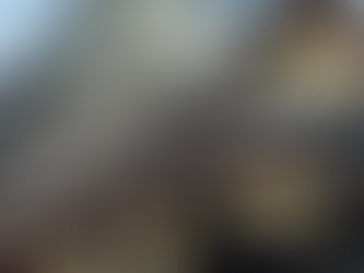 The Seat of Power in a City That Wasn't – Nijo Castle | MK Deep Dive