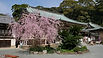 A historic Shingon temple in Munakata founded by Kūkai, known for its mountain setting, seasonal flowers, and prayers for peace and protection.