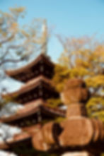Stone lantern in foreground, multi-tiered pagoda in background. Sunlit trees and blue sky enhance the serene atmosphere.