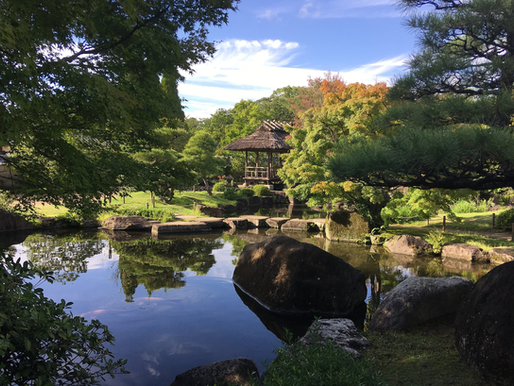 Serene Japanese garden with a pond reflecting trees and rocks. A small wooden gazebo is nestled among lush greenery under a clear blue sky.