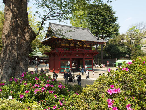 Stone torii gate with Japanese text stands amidst vibrant green foliage. Sunlight casts shadows, creating a serene garden atmosphere.