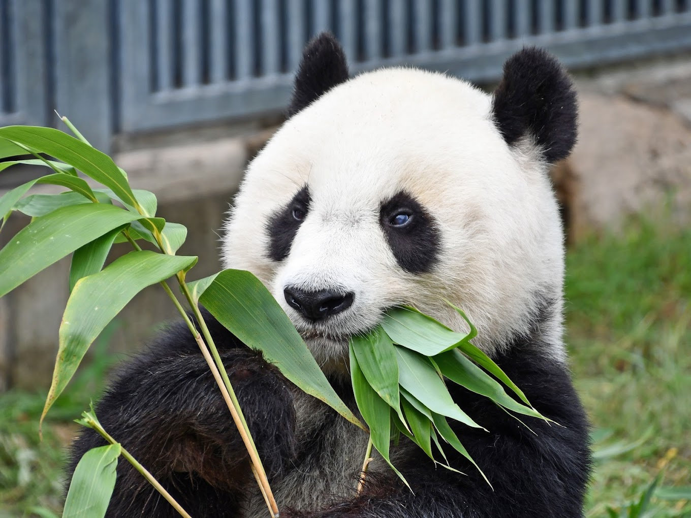 Kobe Oji Zoo