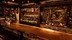 A world-famous cocktail bar hidden in Shinjuku where bartender Hiroyasu Kayama creates botanical drinks with alchemical flair.