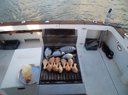 Half day Fishing Trip!