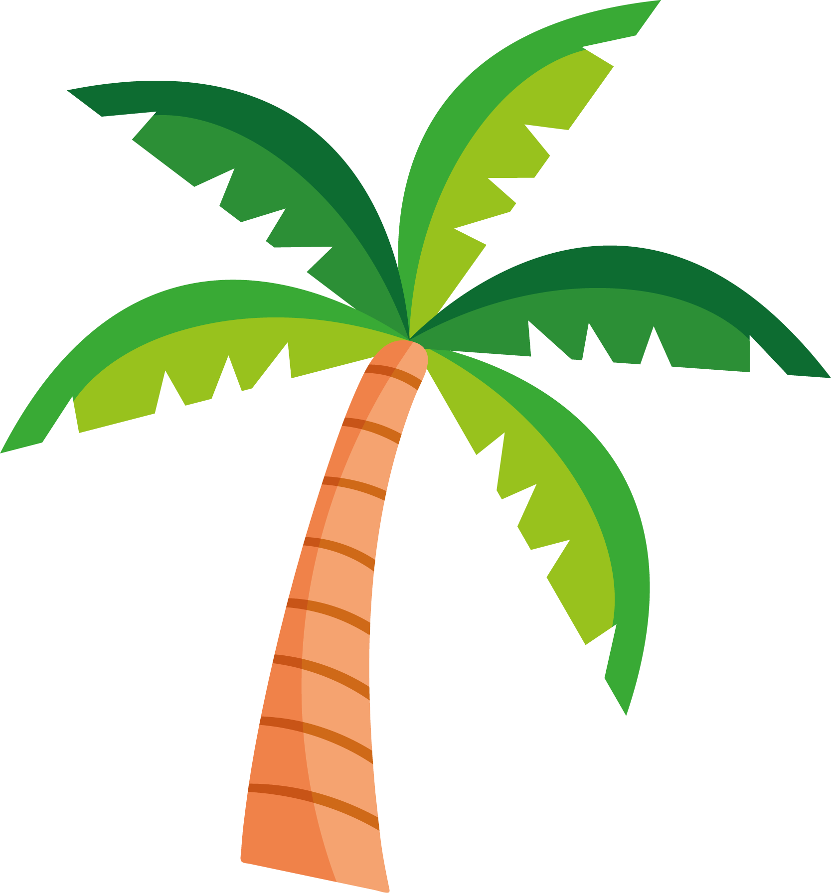 PALMERA2.png