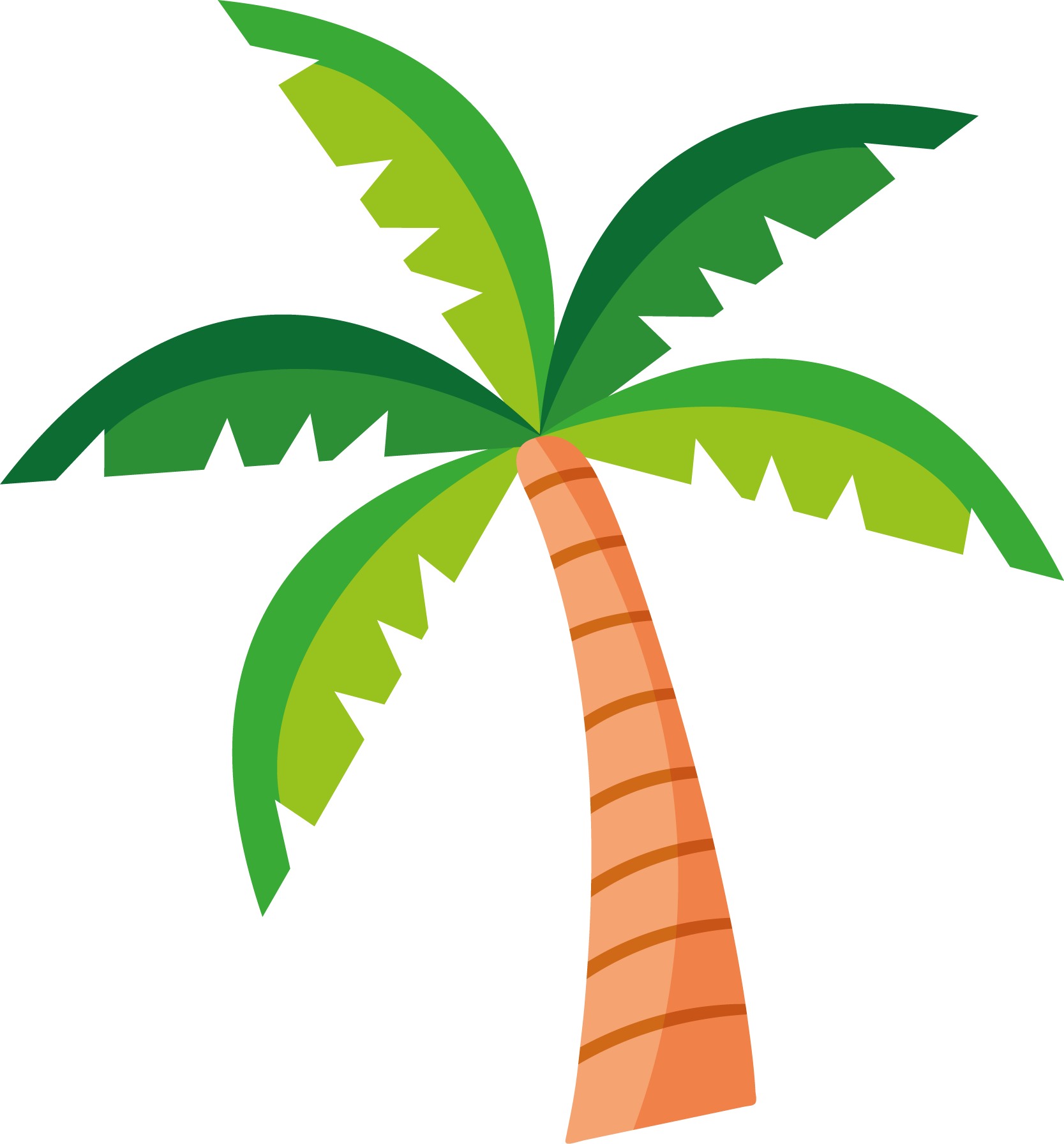 PALMERA.png