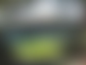 Groundhoppen langs de FI-PI-LI