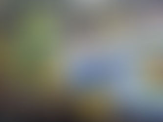 Eintracht Braunschweig