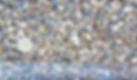 10mm) 3/8" Washed Pea Gravel