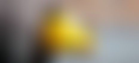 Llama IMSS Tabasco a presentar la Declaración Anual de la Prima en el Seguro de Riesgos de Trabajo.