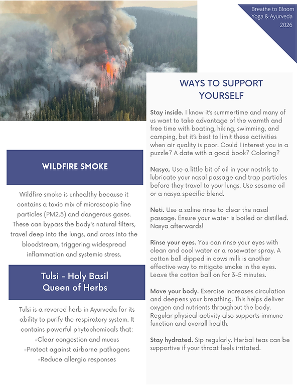 Smoke Support-2.png