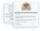 html code and email design on floating ui