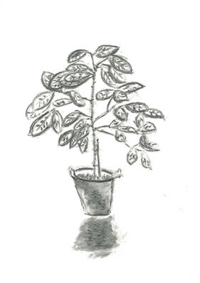 Pastel Drawing 25.jpg