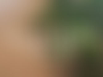 人気メニューランキング🏅