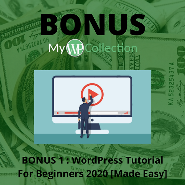 BONUS (59).png