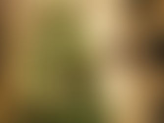 Christmas tree with white ornaments and glowing lights, set in a cozy room with paper stars on the wall. Warm, festive ambiance.