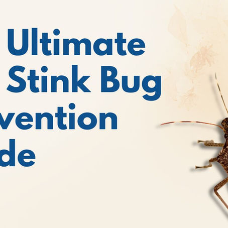 Fall Stink Bug Prevention Guide Image with Stink Bug crawling on the screen 