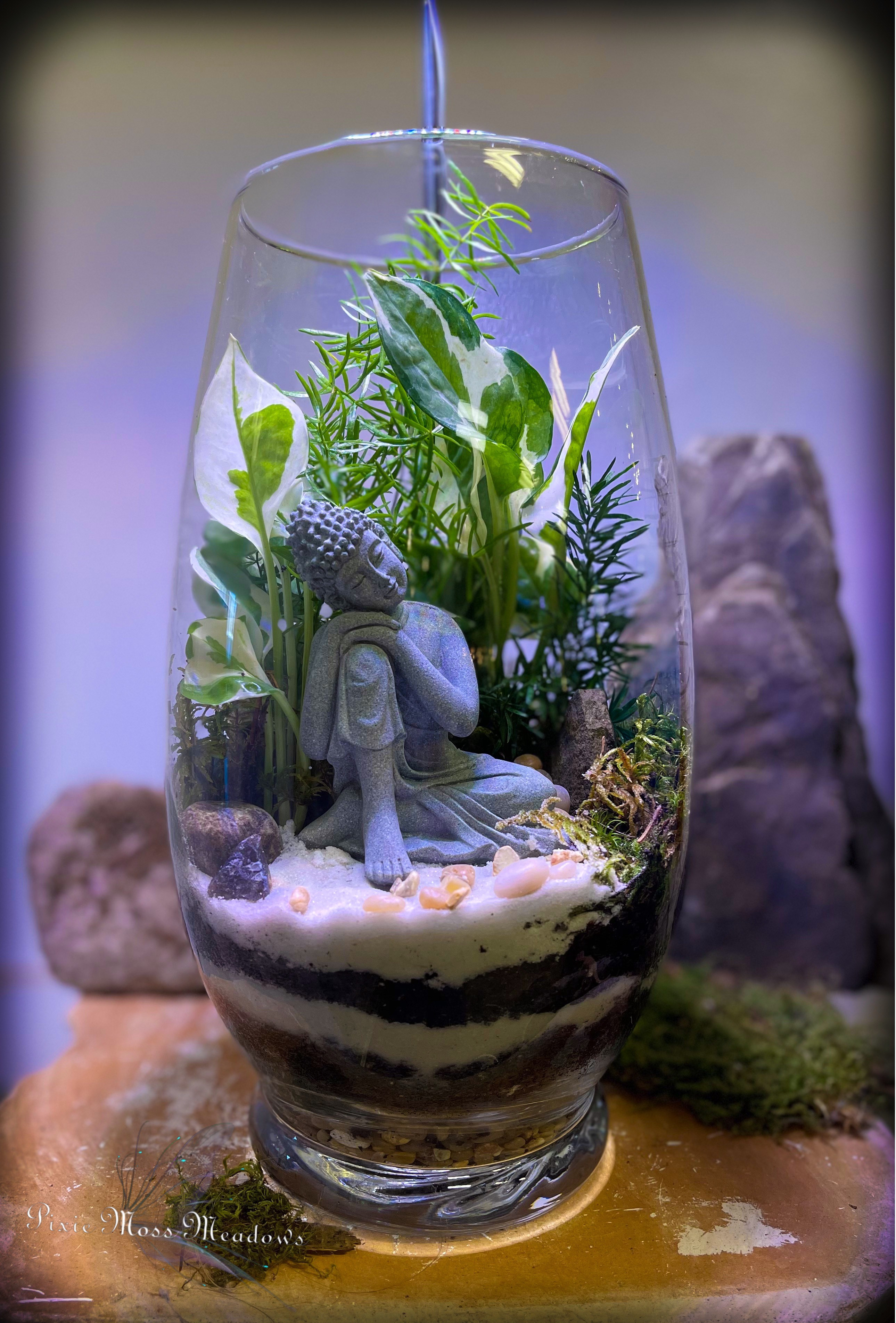 Buddha Zen Terrarium Pixie Moss Meadows