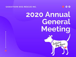 2020-21 Annual Report