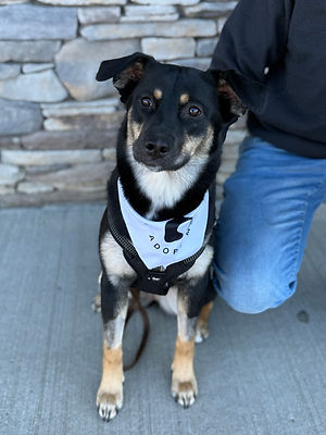 Black Overlay Gradient 06.png