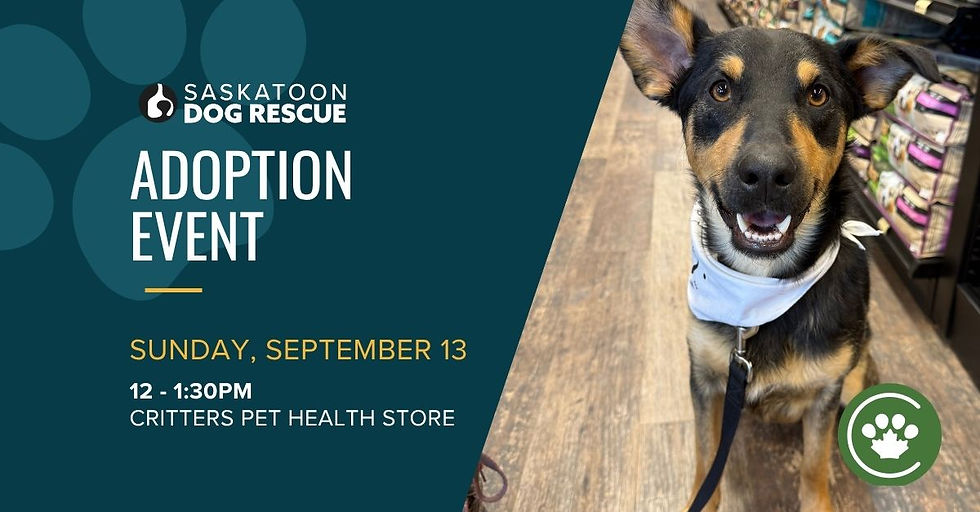 Adoption Event @ Critters Pet Health Store Ruth Street