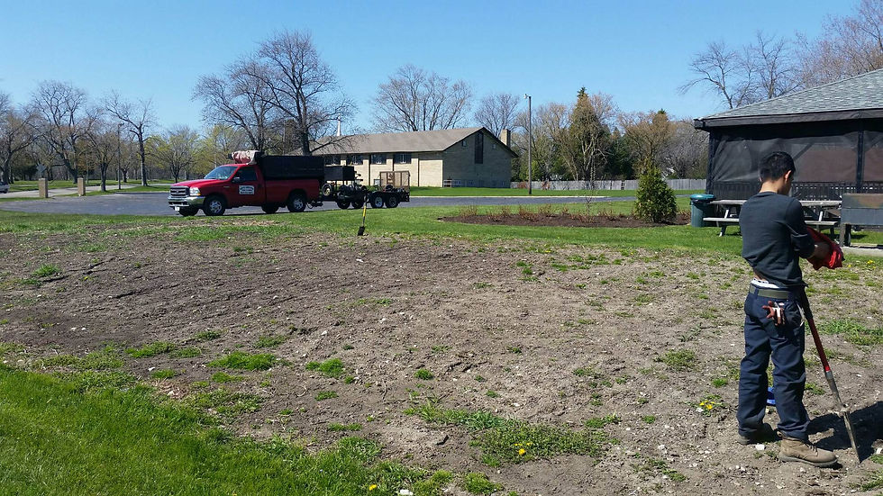 zion veggie garden 1.JPG