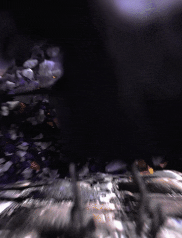 ravens6.gif
