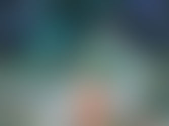 The Itsy Bitsy Spider Totem