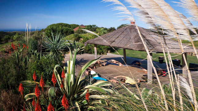 Screen Shot 2023-07-08 at 12.36.05 AM.png