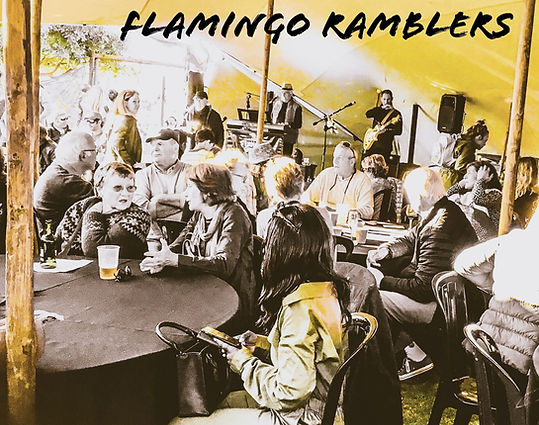flamingo ramblers wildried timothy swiss