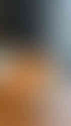 Conrad Osaka Atmos dining a la carte order