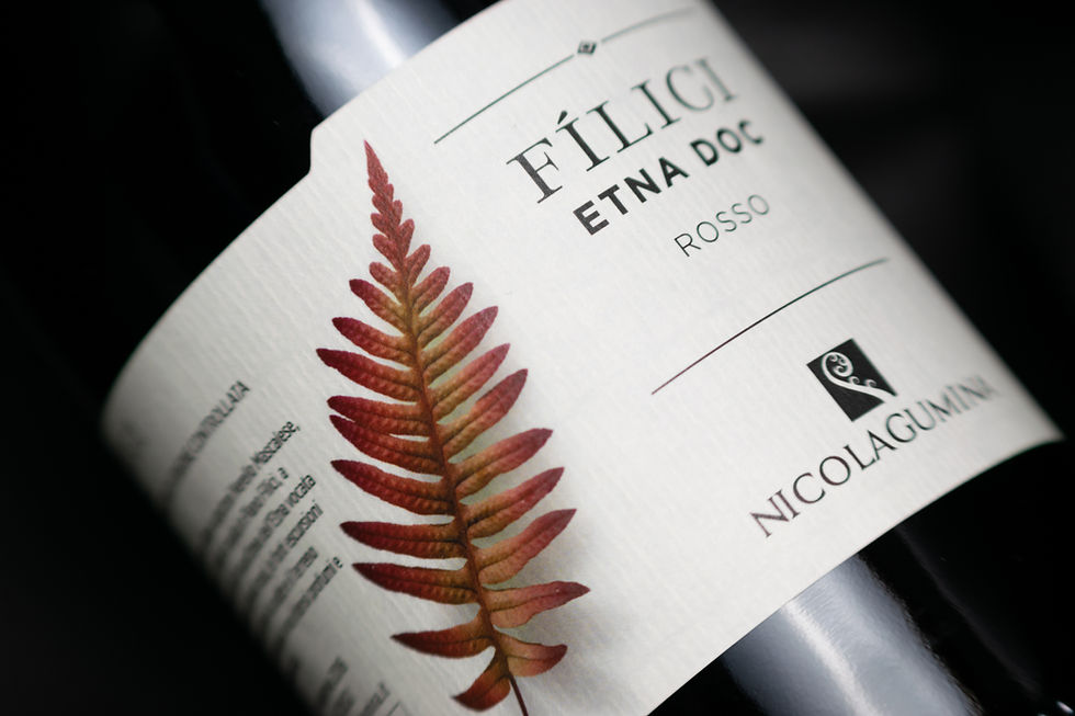 Miniatura: Filici Etna Rosso DOC