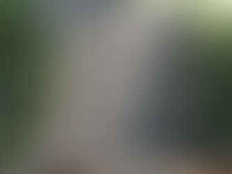 Piscipool.shop. Productos y Materiales para la Reparación y Construcción de Piscinas.