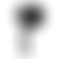 Piscipool.shop. Productos y Materiales para la Reparación y Construcción de Piscinas.