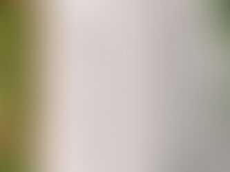 Piscipool.shop. Productos y Materiales para la Reparación y Construcción de Piscinas.