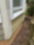 IMG_2216.jpeg