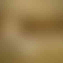 Supalai Scenic Bay - Meeting -Classroom