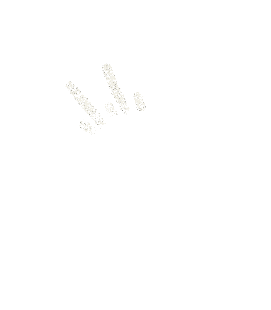 IMG_1329.gif