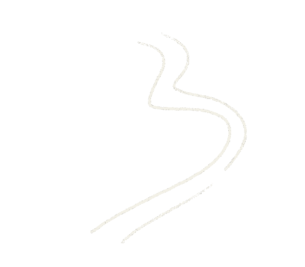 IMG_1333.gif