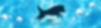 IMG_2679.jpeg