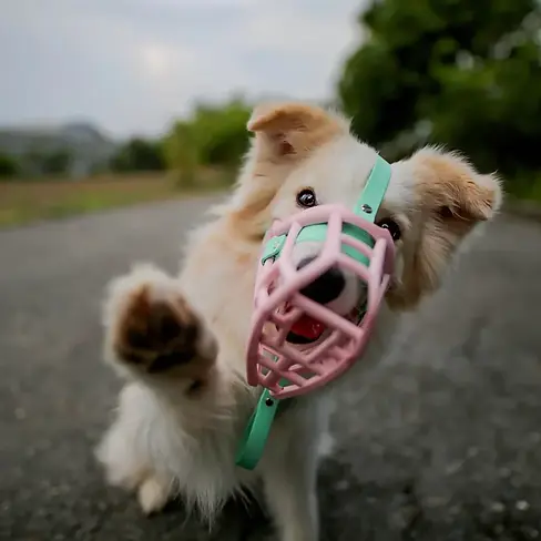 The_muzzle_movement_-_dog_muzzles_1200x1200.webp