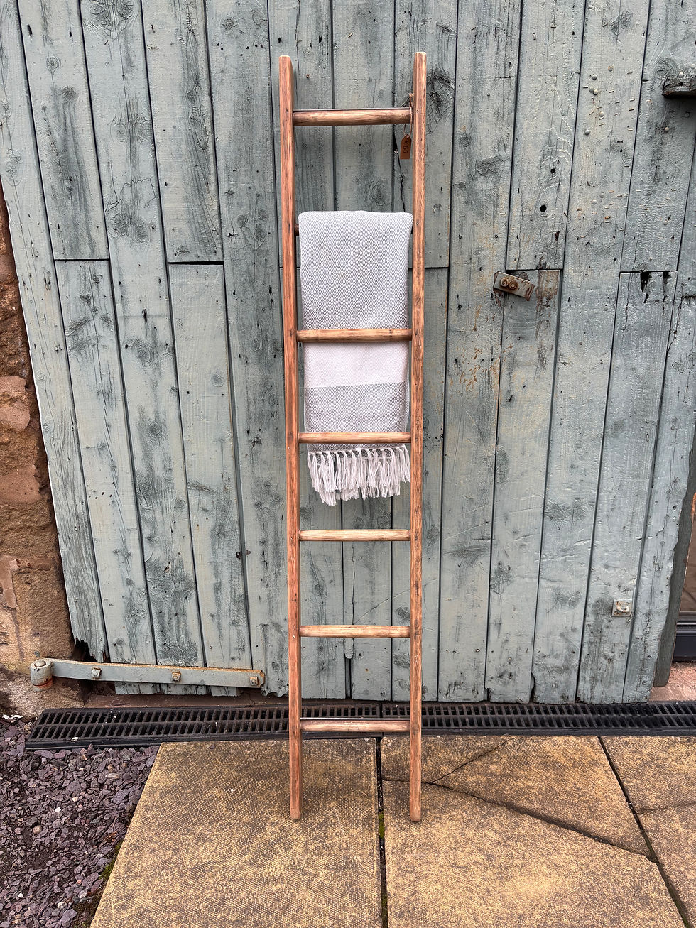 Thumbnail: Decorative Wooden Ladder / Towel Rail 